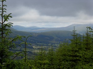 View from Whinlatter